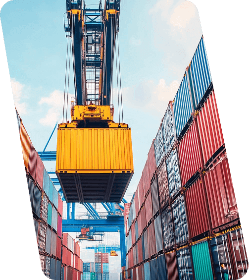 Why Choose Forward Direct
